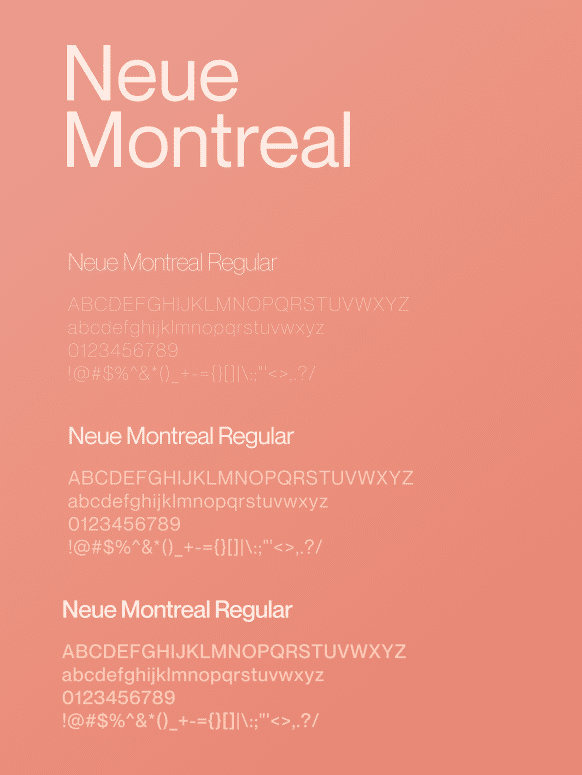 Perroquet - Perroquet-Réalisations-83Sante-4