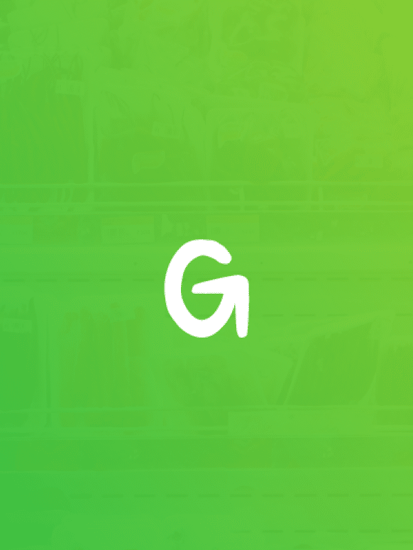 Perroquet - Perroquet-Réalisations-Greencode-4