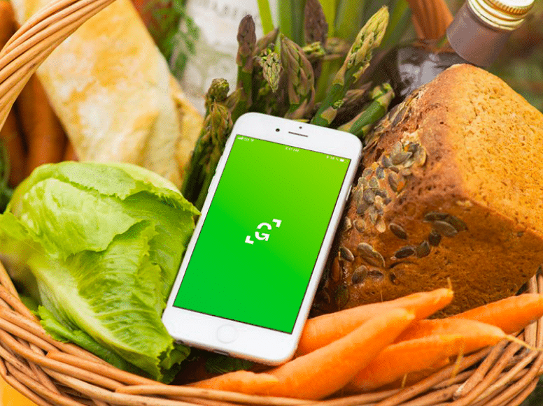 Perroquet - Perroquet-Réalisations-Greencode-7