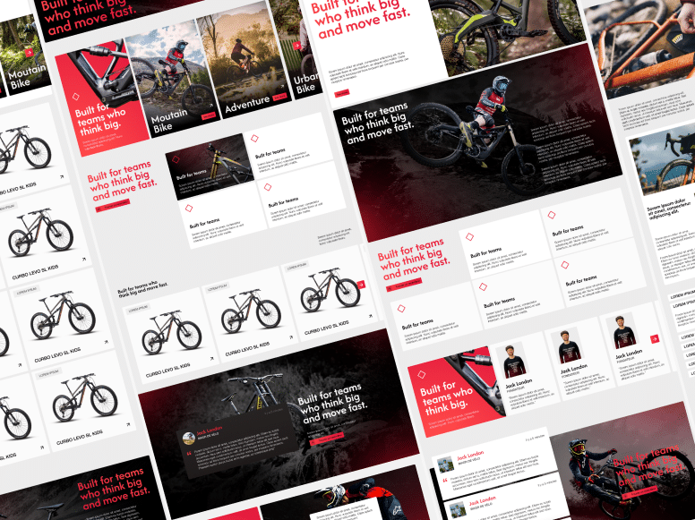 Perroquet - Perroquet-Réalisations-Polygons-Bikes-13