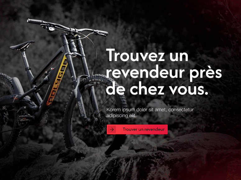 Perroquet - Perroquet-Réalisations-Polygons-Bikes-15