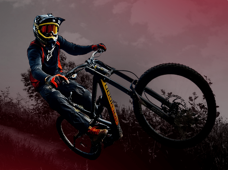 Perroquet - Perroquet-Réalisations-Polygons-Bikes-2