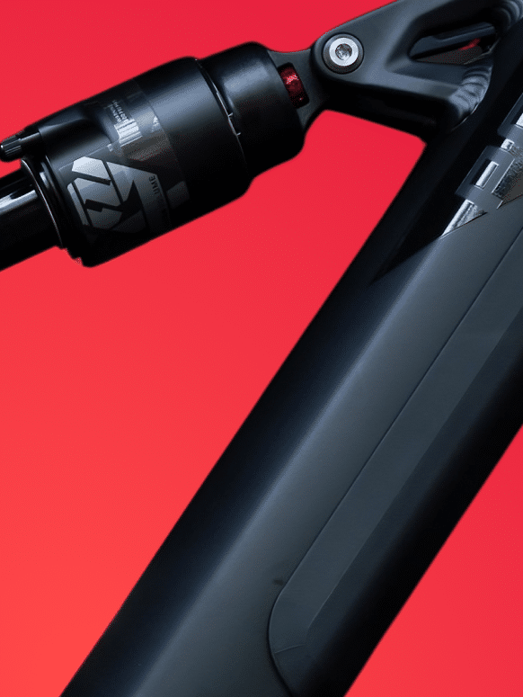 Perroquet - Perroquet-Réalisations-Polygons-Bikes-4