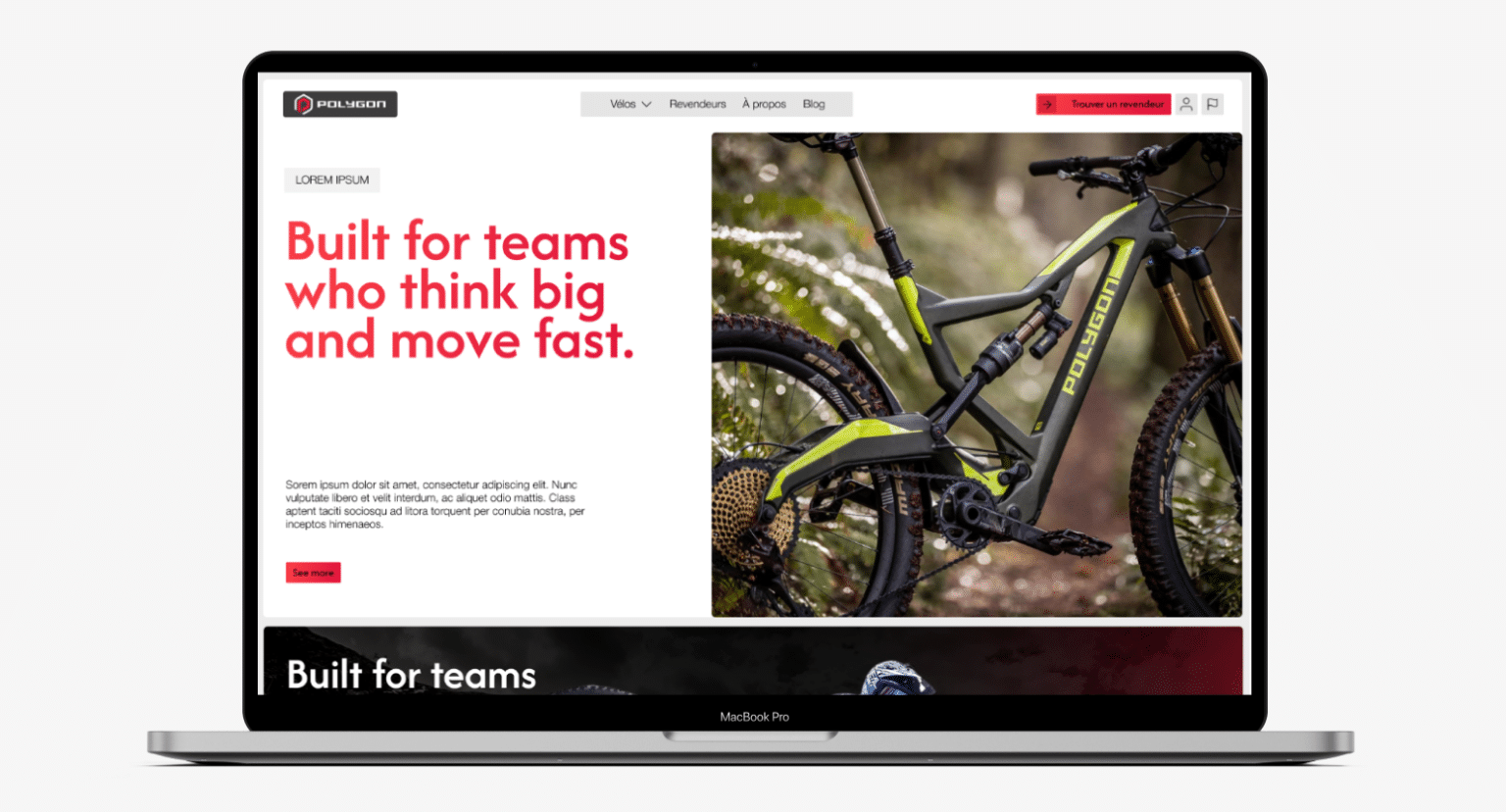 Perroquet - Perroquet-Réalisations-Polygons-Bikes-5