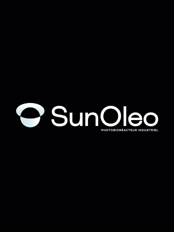 Perroquet - Perroquet-Réalisations-SunOleo-10