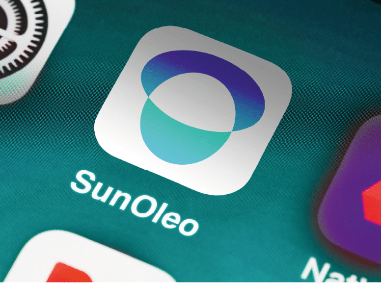 Perroquet - Perroquet-Réalisations-SunOleo-12