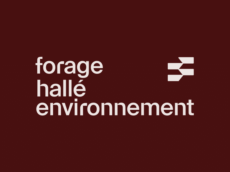 Perroquet - Perroquet-Réalisations-fhe-2-fhe