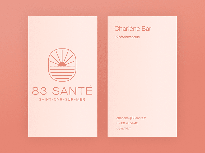 Perroquet - Perroquet-Réalisations83Sante-8