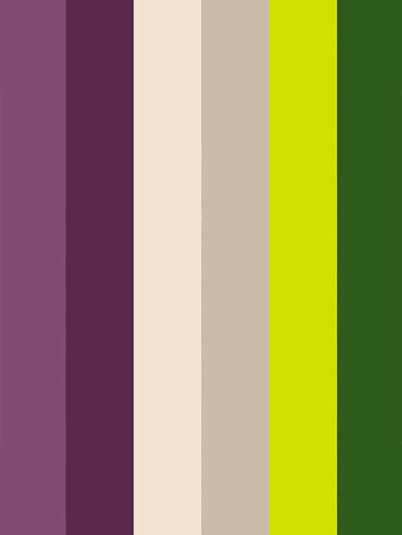 Perroquet - Perroquet-site-web-realisation-cearitis-couleur