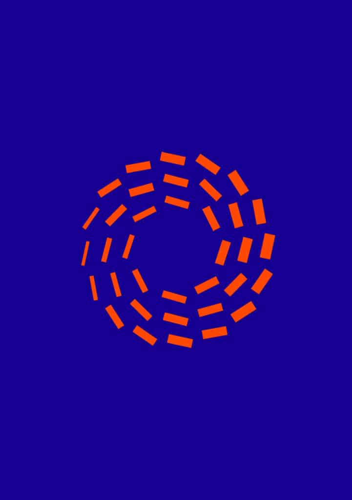 Perroquet - perroquet-site-web-realisations-elipce-solutions-miniature