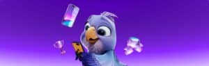 Perroquet - Perroquet-site-web-article-agence-tik-tok-ads