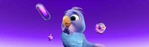 Perroquet - Perroquet-site-web-article-conseils-naming