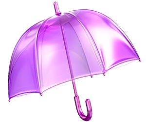 Perroquet - Perroquet-site-web-pictogrammes-assurance