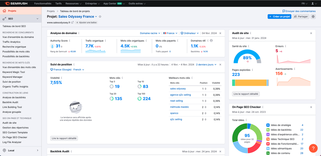 Perroquet - Perroquet-site-web-article-audit-communication-semrush
