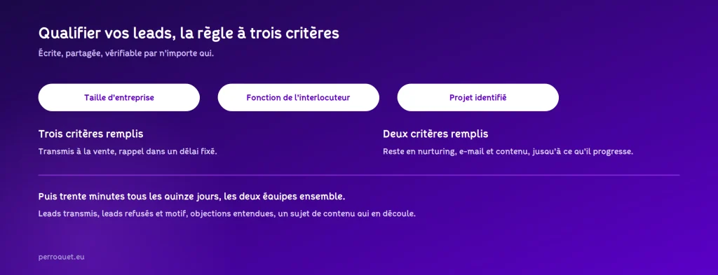 Perroquet - perroquet-site-web-blog-generation-de-leads-b2b-qualifier-trois-criteres