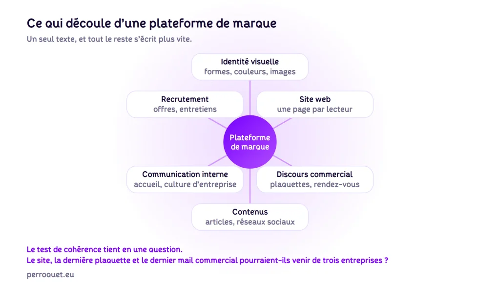 Perroquet - perroquet-site-web-blog-plateforme-de-marque-ce-qui-en-decoule