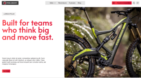 Perroquet - Perroquet-Réalisations-Polygons-Bikes-10