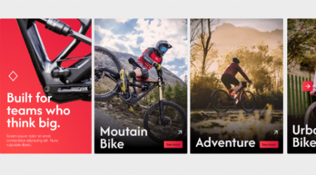 Perroquet - Perroquet-Réalisations-Polygons-Bikes-6