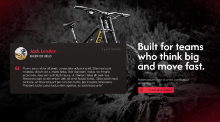 Perroquet - Perroquet-Réalisations-Polygons-Bikes-8