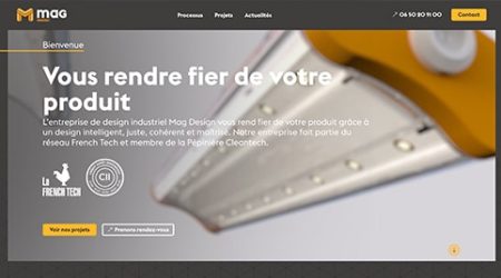 Perroquet - Perroquet-site-web-realisation-mag-design-site-web-accueil-hero-section
