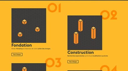 Perroquet - Perroquet-site-web-realisation-mag-design-site-web-accueil-processus